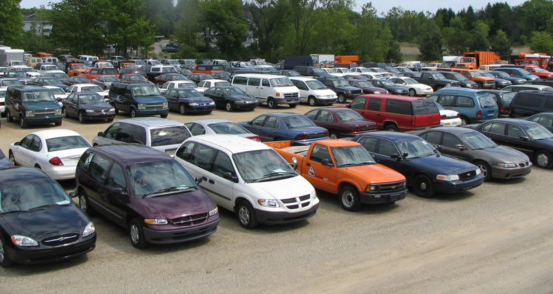 Oakland County Vehicle Auctioneer 